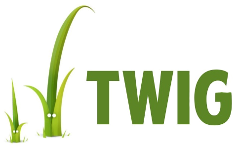 Twig-logo